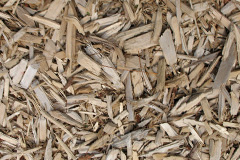 biomass boilers Warenford